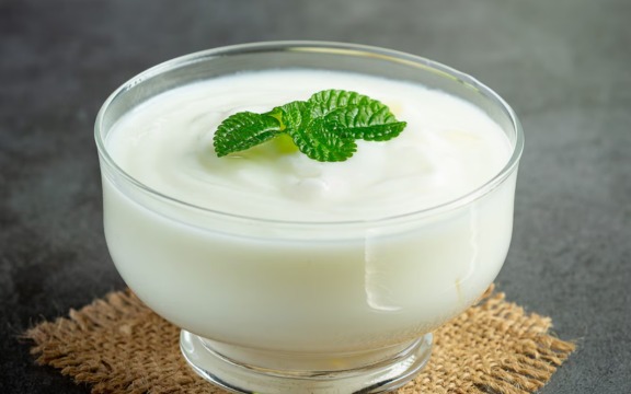 Dahi (curd) Manufacturer